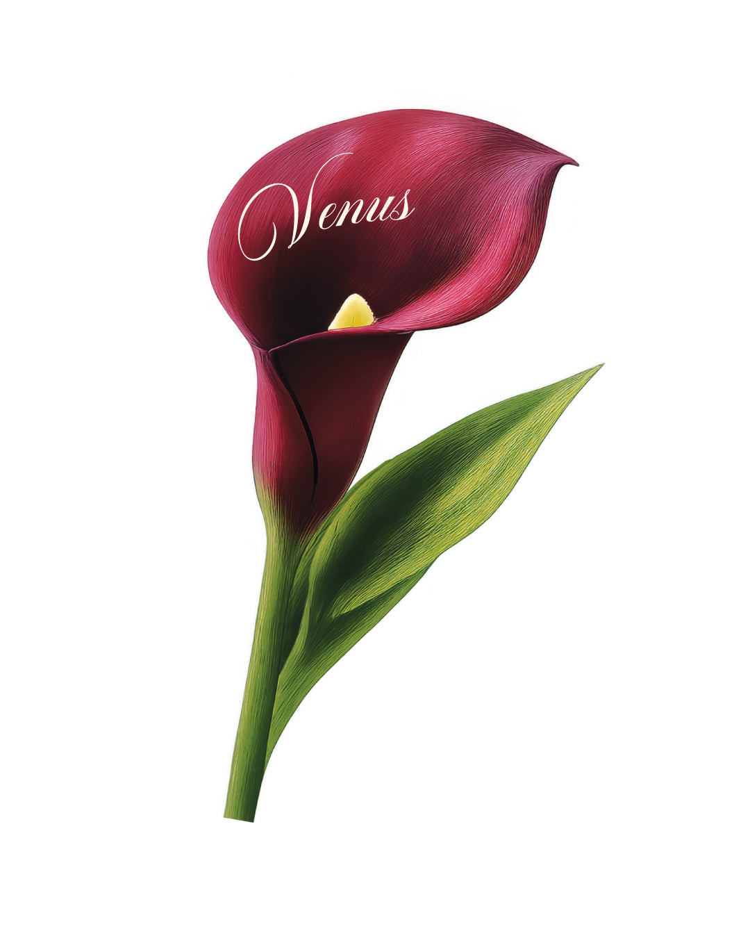 Calla Lily Place Card